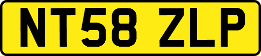 NT58ZLP