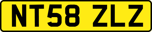 NT58ZLZ