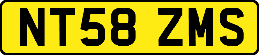 NT58ZMS