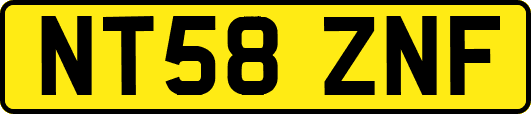 NT58ZNF