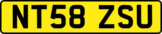 NT58ZSU