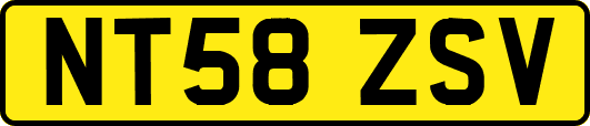 NT58ZSV