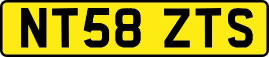NT58ZTS