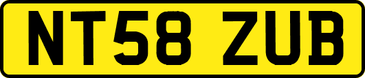 NT58ZUB