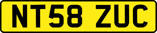 NT58ZUC
