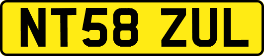 NT58ZUL