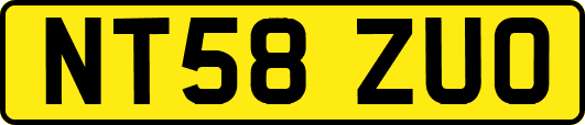 NT58ZUO