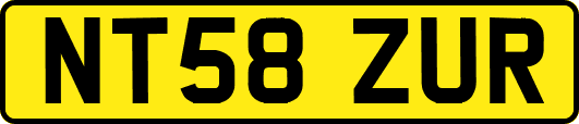 NT58ZUR
