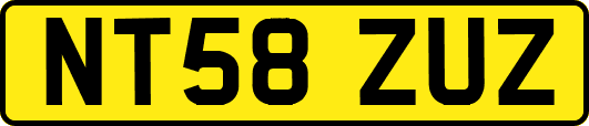 NT58ZUZ