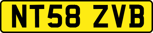 NT58ZVB