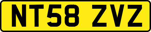 NT58ZVZ