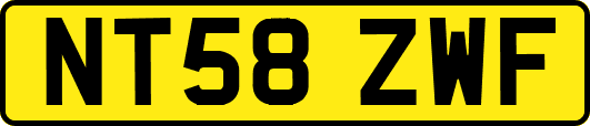 NT58ZWF