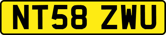 NT58ZWU