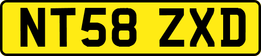 NT58ZXD