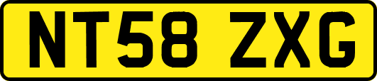 NT58ZXG