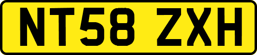 NT58ZXH