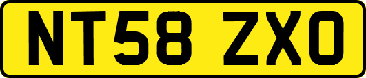 NT58ZXO