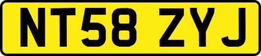 NT58ZYJ