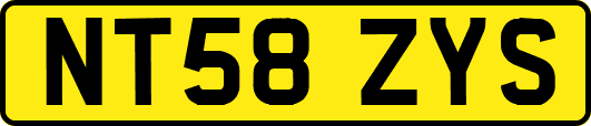 NT58ZYS