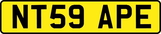 NT59APE