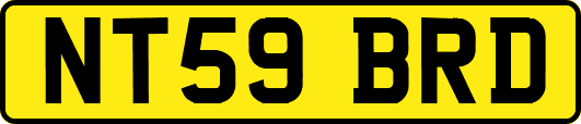 NT59BRD