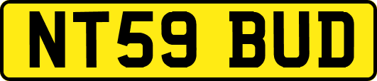 NT59BUD