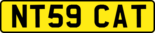 NT59CAT