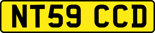 NT59CCD