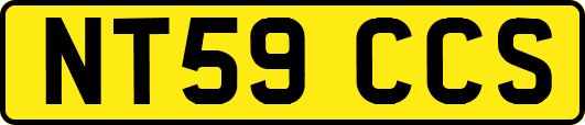 NT59CCS