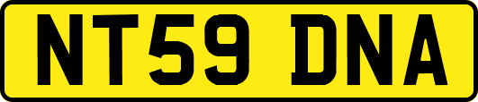 NT59DNA