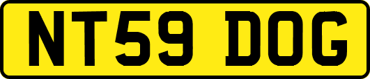 NT59DOG