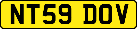 NT59DOV