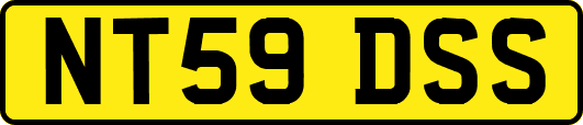 NT59DSS