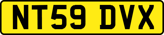 NT59DVX