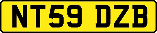 NT59DZB