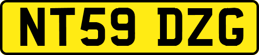 NT59DZG