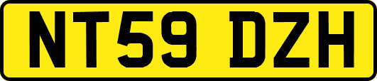 NT59DZH