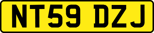 NT59DZJ