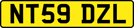 NT59DZL