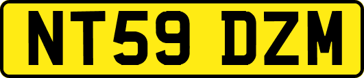 NT59DZM