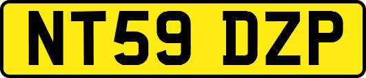 NT59DZP