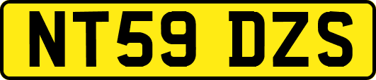 NT59DZS