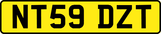 NT59DZT