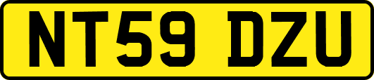 NT59DZU