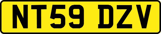 NT59DZV