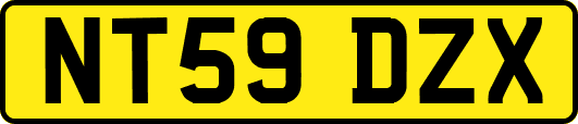 NT59DZX