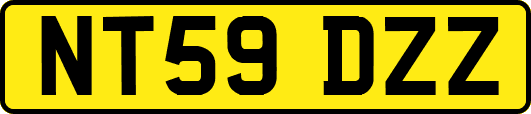 NT59DZZ