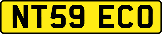 NT59ECO