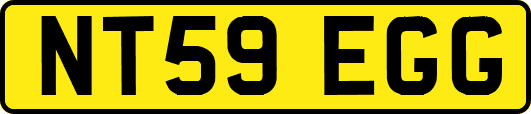 NT59EGG