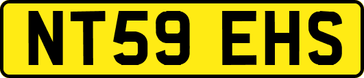NT59EHS